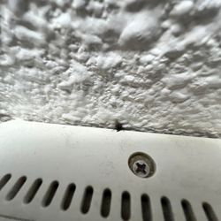 Motel 6 - dead fly (he might be responsible for all that poop!)