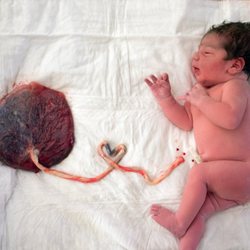 Camila Santiago, CPM - From Bump To Babies