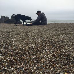 Really enjoyed taking our dogs here Really enjoyed taking our dogs here