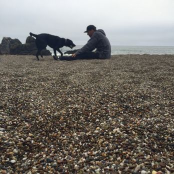 Schoolhouse Beach - Really enjoyed taking our dogs here - Beaches Near Me - Bodega Bay, California Schoolhouse Beach - Really enjoyed taking our dogs here - Beaches Near Me - Bodega Bay, California