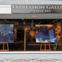 Expression Gallery of Fine Art - "Simplicity is not the beginning, but the result" - Jean Moiras  Expression Gallery of Fine Art 224 E. Westminster, Lake Forest, IL 60045