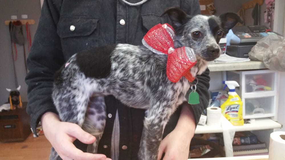 Charming Grooming Image