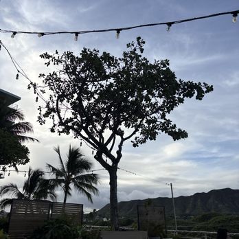 Deck. - Diamond Head - Hawaiian Near Me - Honolulu, Hawaii