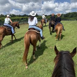 Indian Summer Guide Service - Merrie Mill Vineyard & Farm Trail