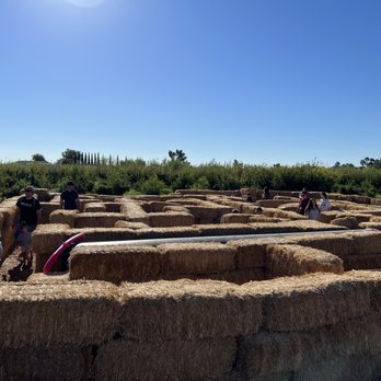 Gilcrease Orchard - Straw maze for kids - Fruits & Veggies Near Me - Las Vegas, Nevada Gilcrease Orchard - Straw maze for kids - Fruits & Veggies Near Me - Las Vegas, Nevada