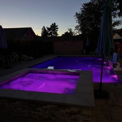 Royal Pools by Adams - Pool