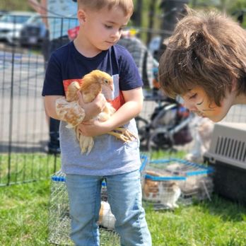 Endless Love Petting - Family Fun Day - Petting Zoos Near Me Endless Love Petting - Family Fun Day - Petting Zoos Near Me