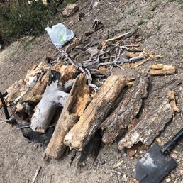 Wood we collected from the area.