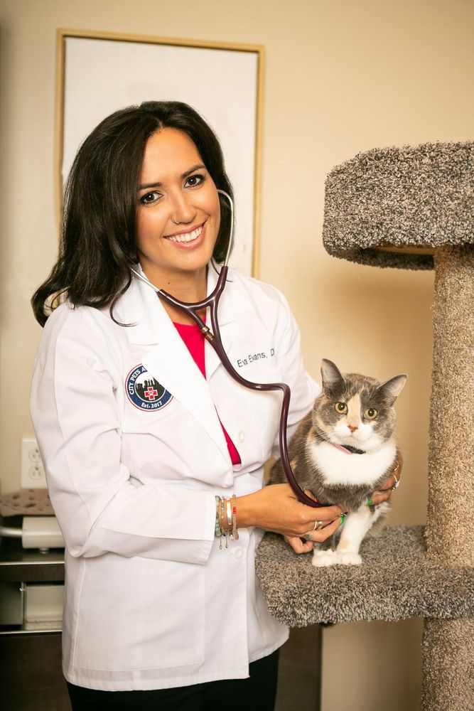 City Pets Animal Care - pet boarding facility in Nashville, TN
