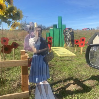 Frog Pond Farm - Wizard of Oz - Christmas Trees Near Me - Wilsonville, Oregon