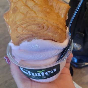 Cha Tea - Fish Waffle! - Coffee & Tea Near Me - Mesa, Arizona