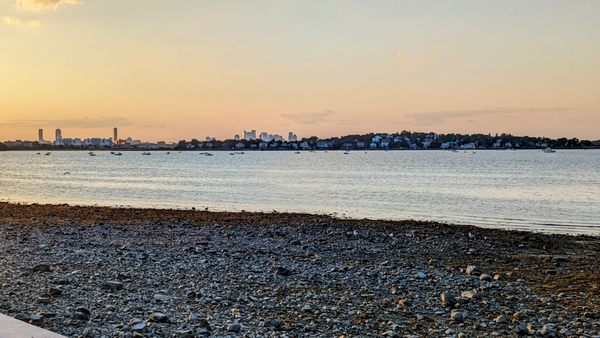 Wollaston Beach by null