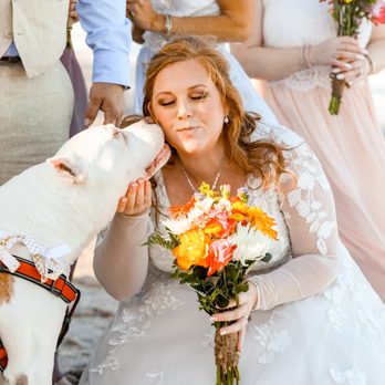 MelEvents - Our dog Sarge, as the ring bearer, Melissa even helped up make our DIY bouquets! - Party & Event Planning Near Me - Grand Rapids, Michigan MelEvents - Our dog Sarge, as the ring bearer, Melissa even helped up make our DIY bouquets! - Party & Event Planning Near Me - Grand Rapids, Michigan