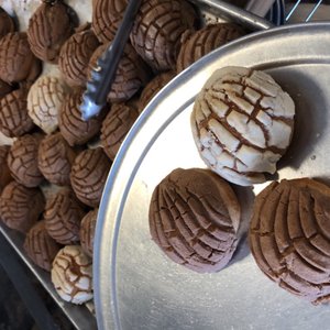 Flor De Mexicali Tortilleria on Yelp