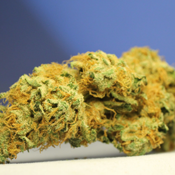 The Bud Depot - Cannabis Clinics Near Me - Lyons, Colorado The Bud Depot - Cannabis Clinics Near Me - Lyons, Colorado