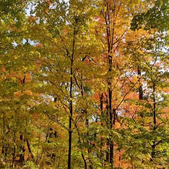 The Riverwood Conservancy - Parks Near Me - Mississauga, Ontario The Riverwood Conservancy - Parks Near Me - Mississauga, Ontario