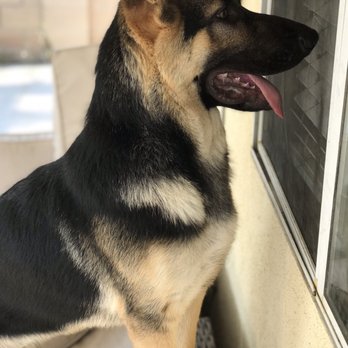 PetSmart - Pet Groomers Near Me - Northridge, California