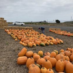 Rodoni Farms