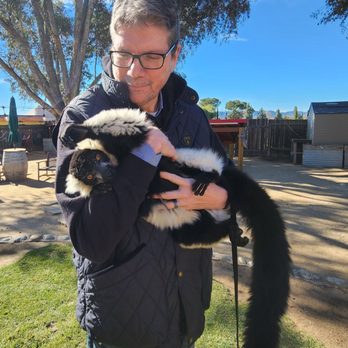 Conservation Ambassadors - Zoo to You - Lemur - Zoos Near Me - Paso Robles, California Conservation Ambassadors - Zoo to You - Lemur - Zoos Near Me - Paso Robles, California