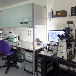 Yale Fertility Center of New Haven - IVF Clinic New Haven CT Lab