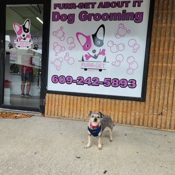 Furr Get About It Grooming - Never wants  to leave the salon - Pet Groomers Near Me - Forked River, New Jersey
