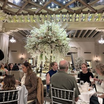 Palm Court - Bars Near Me - Chicago, Illinois