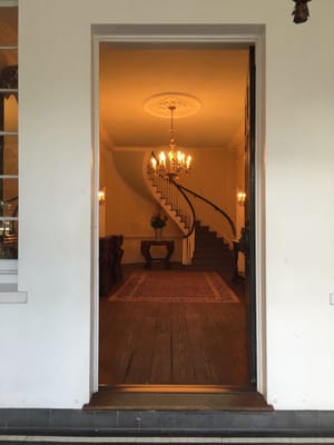 Lowndes Grove by null