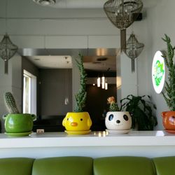 Tea Funny - Super cute decorations
