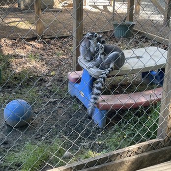 Darby Acres Farm - Zoos Near Me - Charlotte, North Carolina Darby Acres Farm - Zoos Near Me - Charlotte, North Carolina