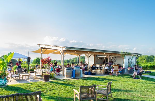Windridge Vineyards by null