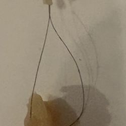 Big Apple - Hairy dumpling
