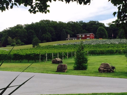 Clover Hill Vineyards & Winery by null