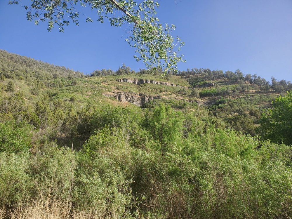 RIVER RANCH RV PARK Updated October 2024 26876 Hwy 70 E, Ruidoso