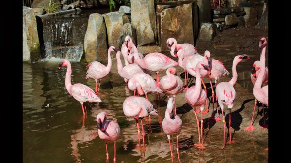 Oregon Zoo by null