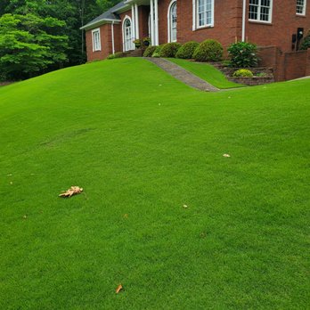 Arbor-Nomics Turf, Inc. Lawn Care Services & Grass Treatment - Pest Control Near Me - Norcross, Georgia