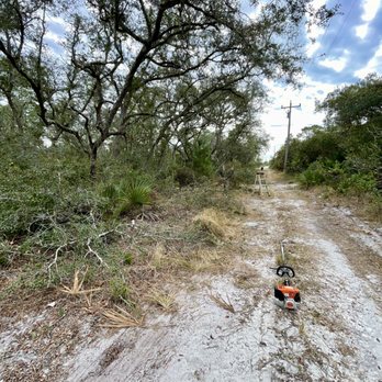 EverGrove Lawncare - Tree trimming overhanging branches to widen road clearance - Tree Services Near Me - Sebring, Florida