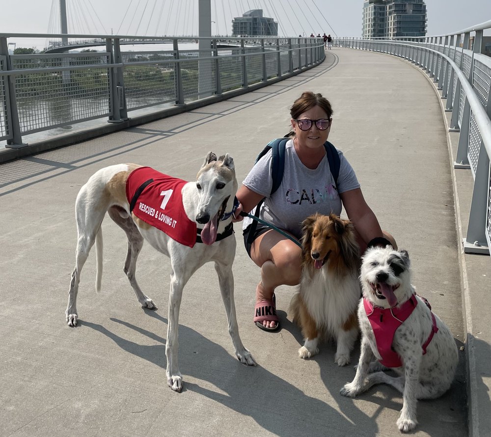 IT’S GOOD TO BE HOME PET SITTING Omaha, Nebraska Pet Sitting