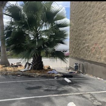 Junk Valley Express - Palm Tree Trimming - Junk Removal & Hauling Near Me Junk Valley Express - Palm Tree Trimming - Junk Removal & Hauling Near Me
