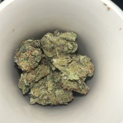 Bronx Joint