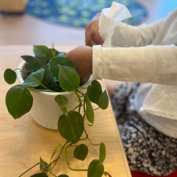 Bright Stars Learning - Inspiration - Preschools Near Me - Tracy, California Bright Stars Learning - Inspiration - Preschools Near Me - Tracy, California