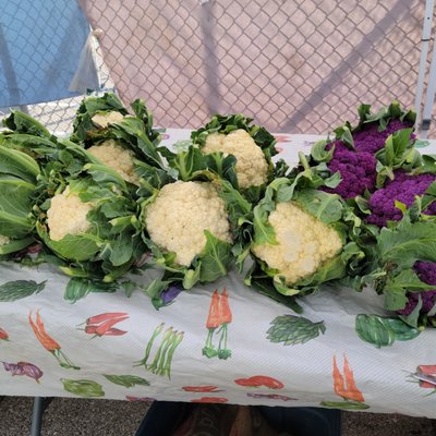 Riverwest Farmers Market by null
