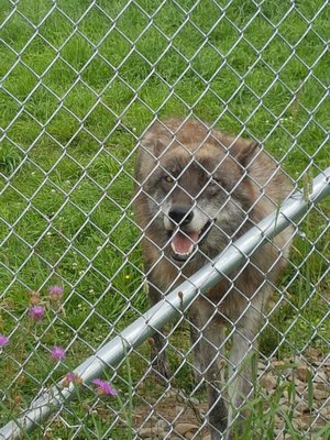 Wolf Mountain Nature Center by null
