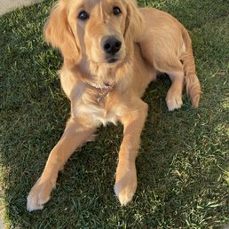 butter is a very happy customer butter is a very happy customer