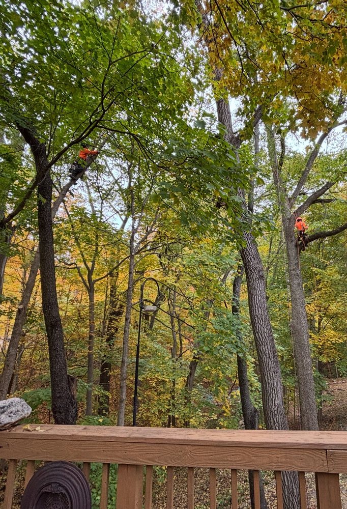 Artistic Touch Tree Service - tree service in Indianapolis, IN