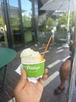 Pitango Gelato & Coffee, The Wharf by null