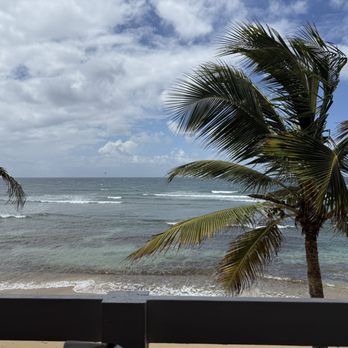Palo Restaurant - The view - Seafood Near Me - Isabela, Puerto Rico Palo Restaurant - The view - Seafood Near Me - Isabela, Puerto Rico