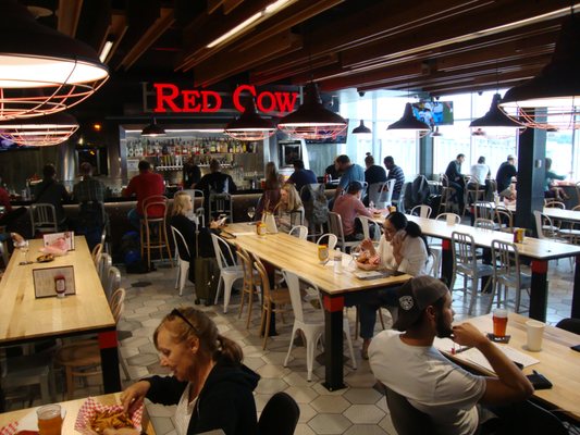 Red Cow by null