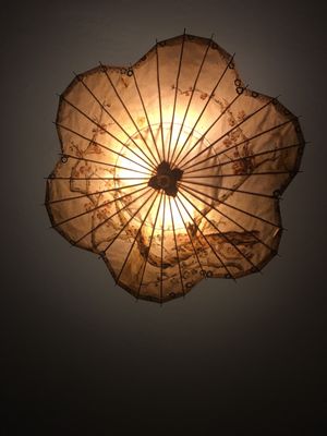 Hotel Boheme by null