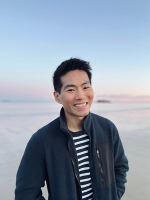Singing Beach by null