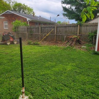 Lopez Tree Service - Finally, we see the fence! - Tree Services Near Me - Jeffersontown, Kentucky Lopez Tree Service - Finally, we see the fence! - Tree Services Near Me - Jeffersontown, Kentucky